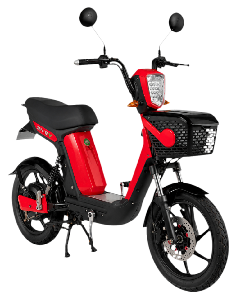 MOTO ELECTRICA CRICKET