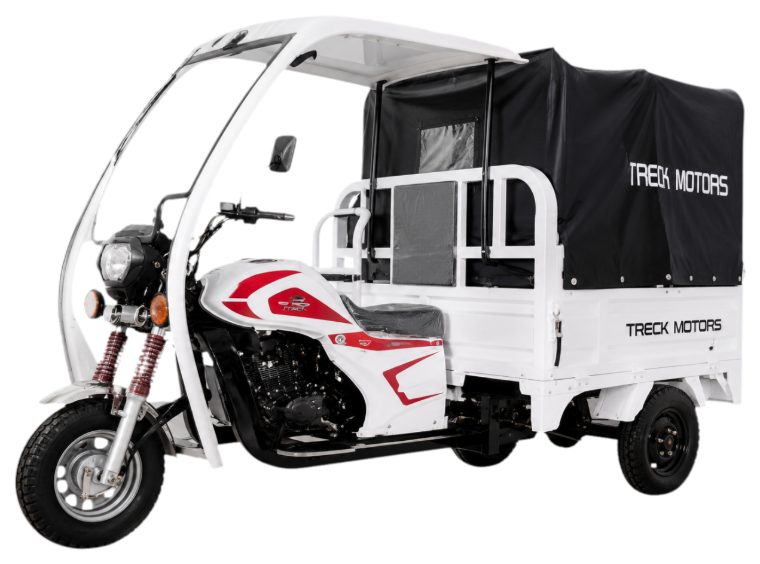 Triciclo de carga Treck 250